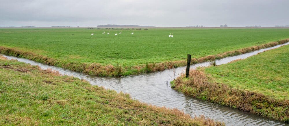 sloot in nederland