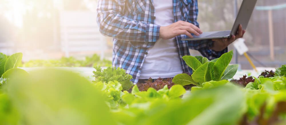 Verduurzaming, innovatie en digitalisering voeren de boventoon in de Food- & Agri sector