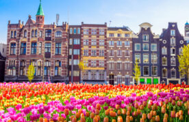 Zakendoen in Nederland Whitepaper