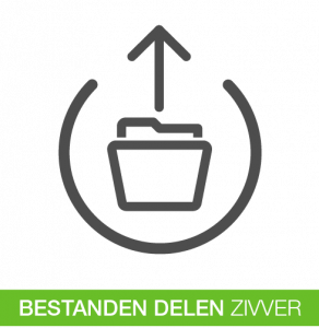 Bestanden veilig delen