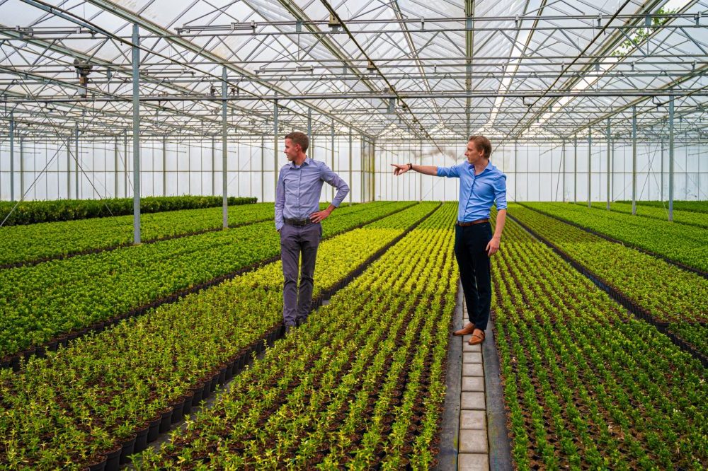 Agrarisch advies door Van Oers Agro