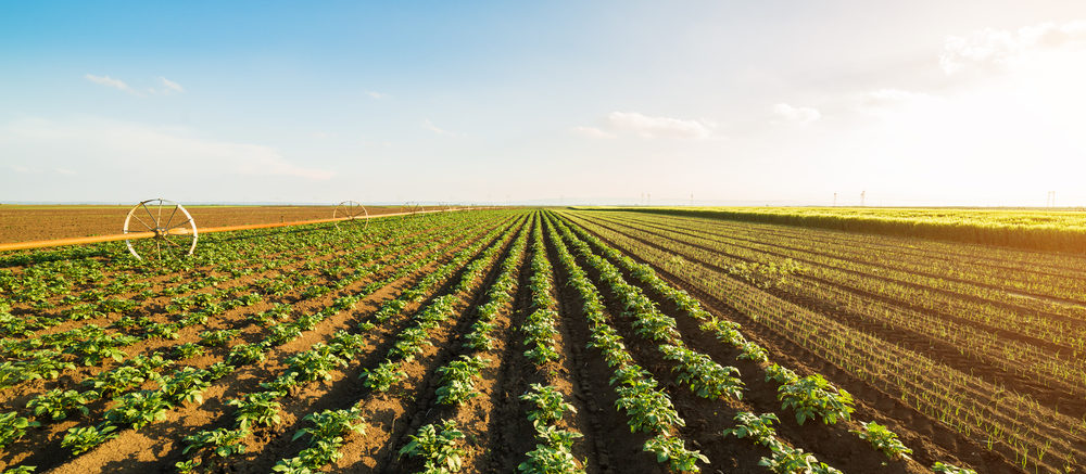 Is er nog een toekomst voor de landbouw in Nederland?