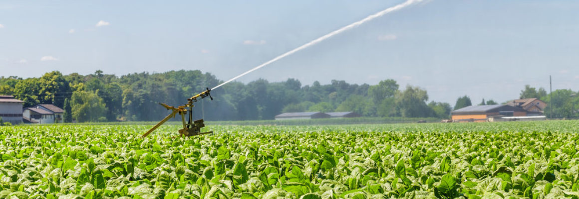 Voldoende goed water blijft een uitdaging