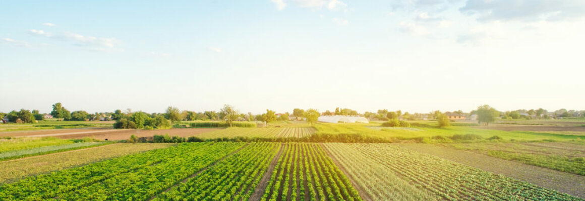 Agroflits week 16