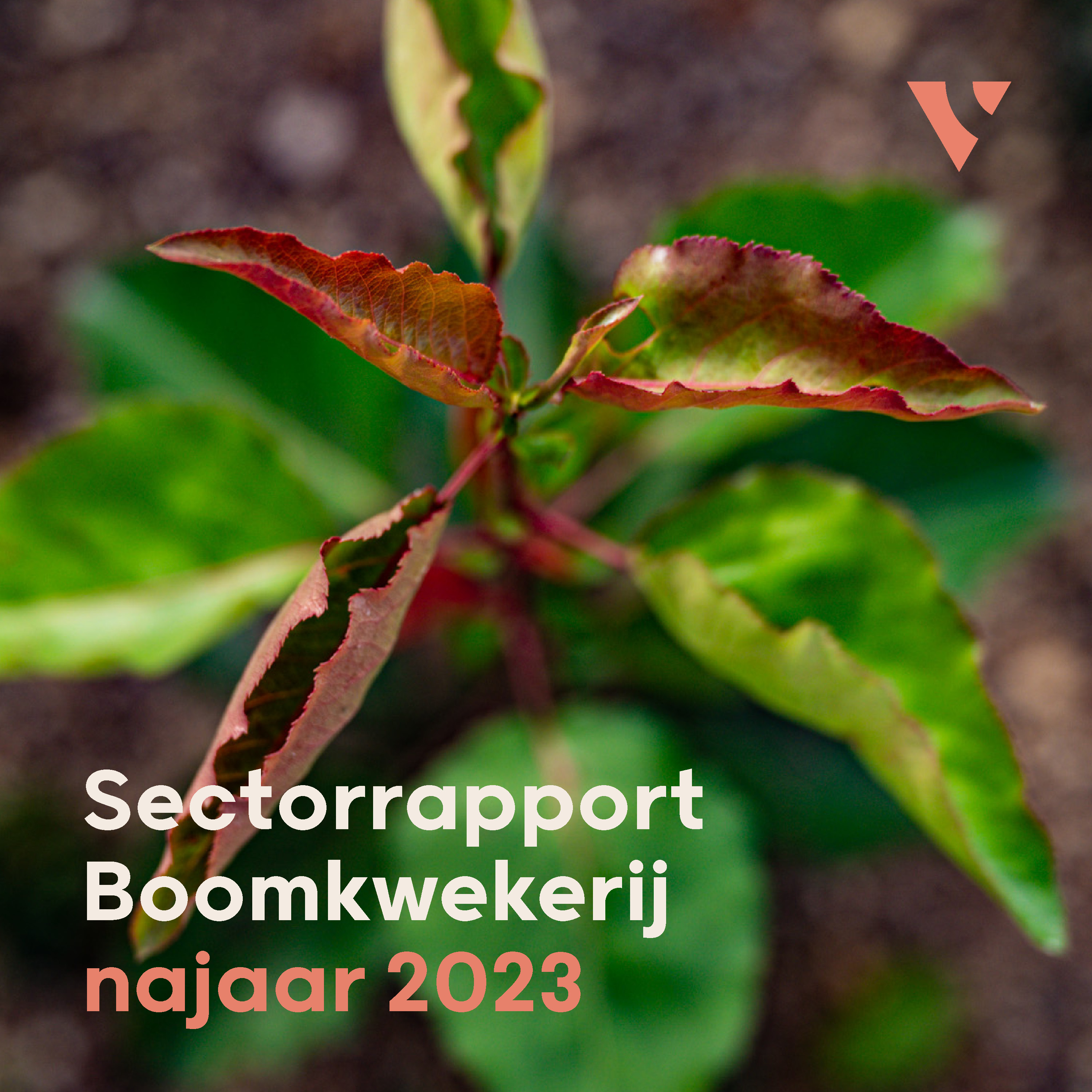 Sectorrapport boomkwekerij najaar 2023