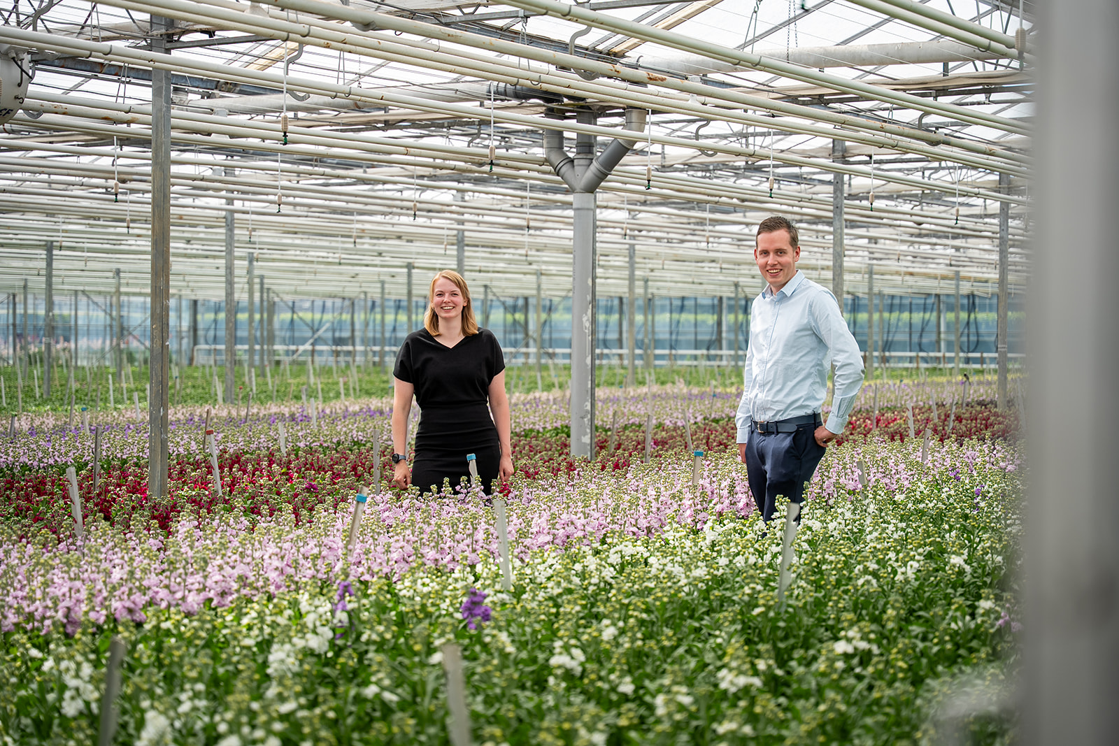 collega's tussen de bloemen