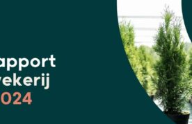 sectorrapport najaar 2024