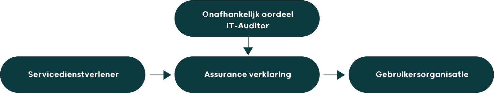 Oordeel IT auditor