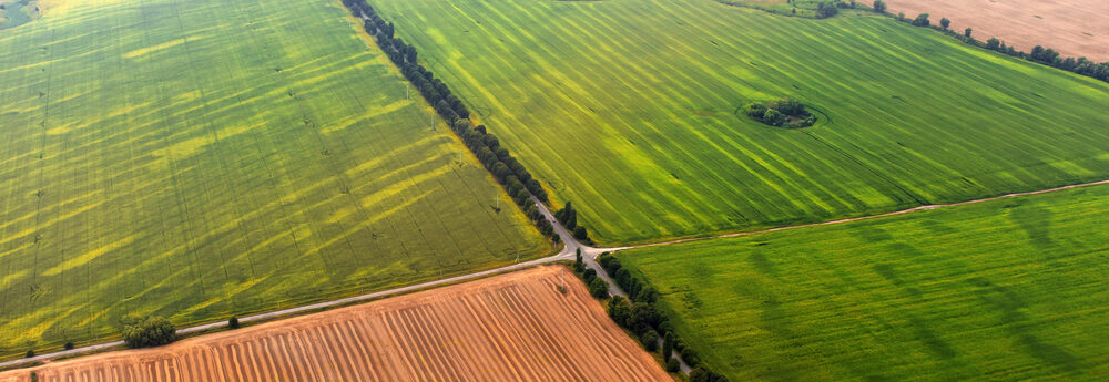 Agroflits week 22