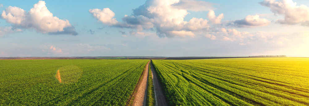 Agroflits week 50