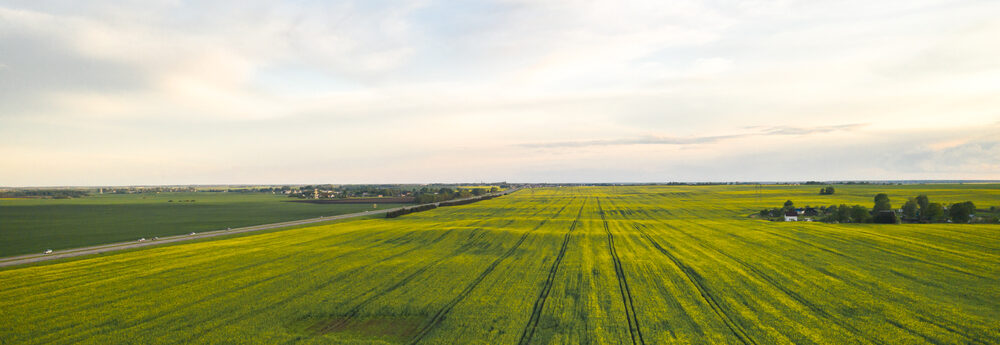 Agroflits week 2