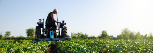Agroflits week 46