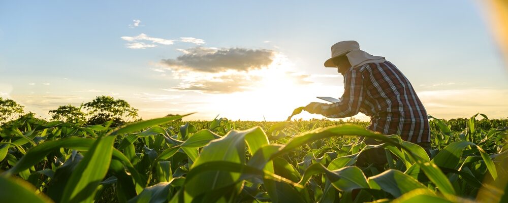 agroflits week 38