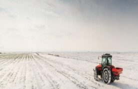 Agroflits week 2 2026