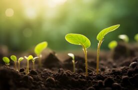 Agroflits week 49 - btw op agrarische goederen per 2025