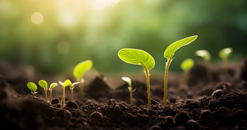 Agroflits week 49 - btw op agrarische goederen per 2025