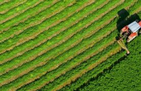 Agroflits week 6