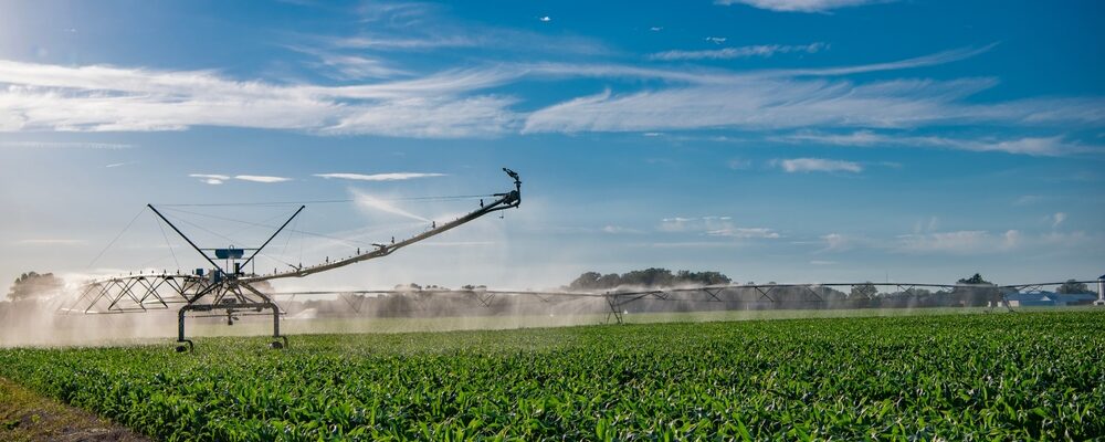 Agroflits week 26