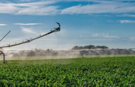 Agroflits week 26