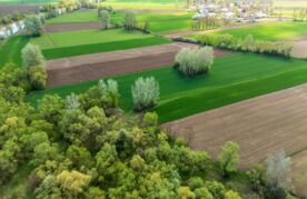 agroflits week 22